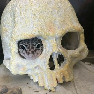 Meet your Posher, Jake